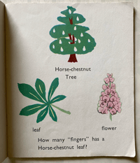 Image 4 of My Spring Book by Audrey Bradnick