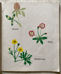 Image 3 of My Summer Book By Audrey Bradnick