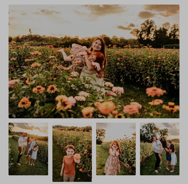 Image of Sunset Wildflower Mini Sessions – 7acres Farm Wethersfield
