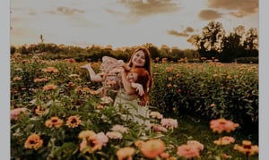 Image of Sunset Wildflower Mini Sessions – 7acres Farm Wethersfield