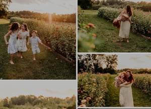 Image of Sunset Wildflower Mini Sessions – 7acres Farm Wethersfield