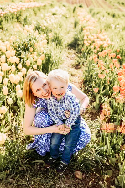 Image of U PICK TULIPS GLASTONBURY MINIS 2026