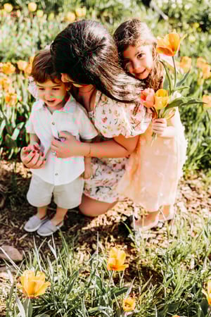 Image of U PICK TULIPS GLASTONBURY MINIS 2026