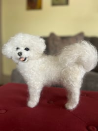 Image 3 of 9” Bichon Frise