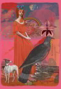 Image 1 of The Secret Pigeon