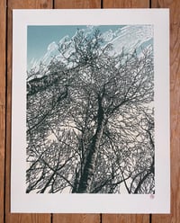 Image 2 of Woodland Edge (version 1)