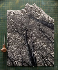 Image 3 of Woodland Edge (version 2)