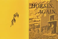 HORSES, AGAIN