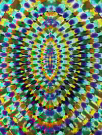 Image 2 of Large reverse dye