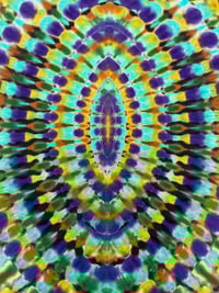 Image 4 of Large reverse dye