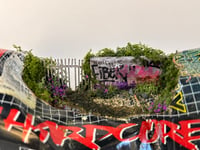 Image 1 of Crushed 