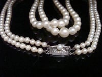Image 3 of EDWARDIAN SILVER MIKIMOTO CULTURED PEARL DOUBLE STRAND NECKLACE IN ORIGINAL BOX