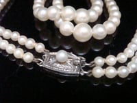 Image 4 of EDWARDIAN SILVER MIKIMOTO CULTURED PEARL DOUBLE STRAND NECKLACE IN ORIGINAL BOX