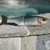 LOW FLOAT Stocker 9.5" Trout Glide 