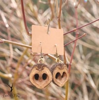 Image 3 of Black Walnut Earrings