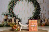 Image 2 of Easter Mini Sessions - March 21st