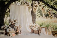 Image 3 of Easter Mini Sessions - March 21st