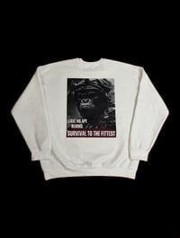 Image 2 of Oorah set