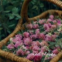 Image 5 of Purification 