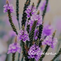 Image 2 of Burnout Relief