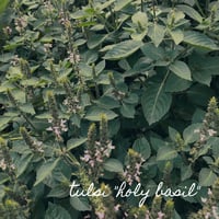 Image 3 of Burnout Relief