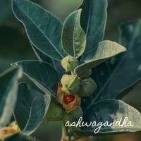 Image 5 of Burnout Relief