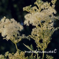 Image 5 of Inflammation