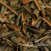 Image 2 of Inflammation