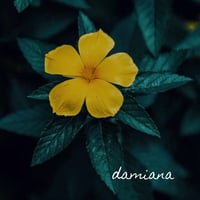 Image 3 of Femme Force