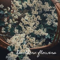 Image 4 of Hawthorn Oxymel 