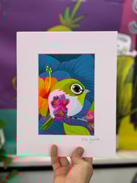 Image 1 of Japanese White-Eye Illustration Print