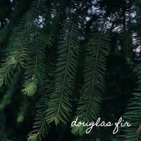 Image 2 of Douglas Fir Lipbalm 