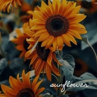 Image 5 of Nettle Lime Lipbalm