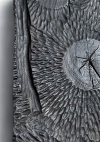 Image 2 of Black Spores