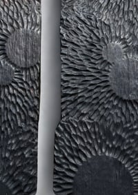 Image 4 of Black Spores