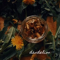 Image 3 of Digestive Bitters