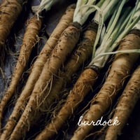 Image 5 of Digestive Bitters