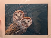 Needle Felt Barn Owls
