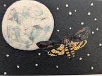 Image 1 of Needle Felt A4 Deaths Head Moth 