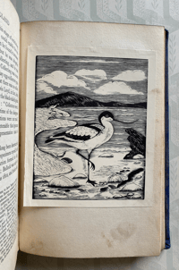 Image 5 of Birds in England by E.M.Nicholson