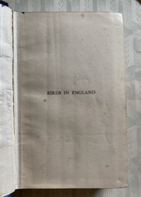 Image 4 of Birds in England by E.M.Nicholson