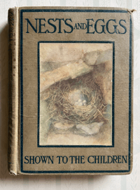 Image 1 of Nests and Eggs Shown to the Children 