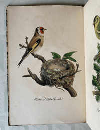 Image 2 of German Bird Book Insel Bucherei No:100