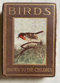 Image 1 of Birds Shown to the Children