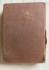 Image 2 of Birds Shown to the Children