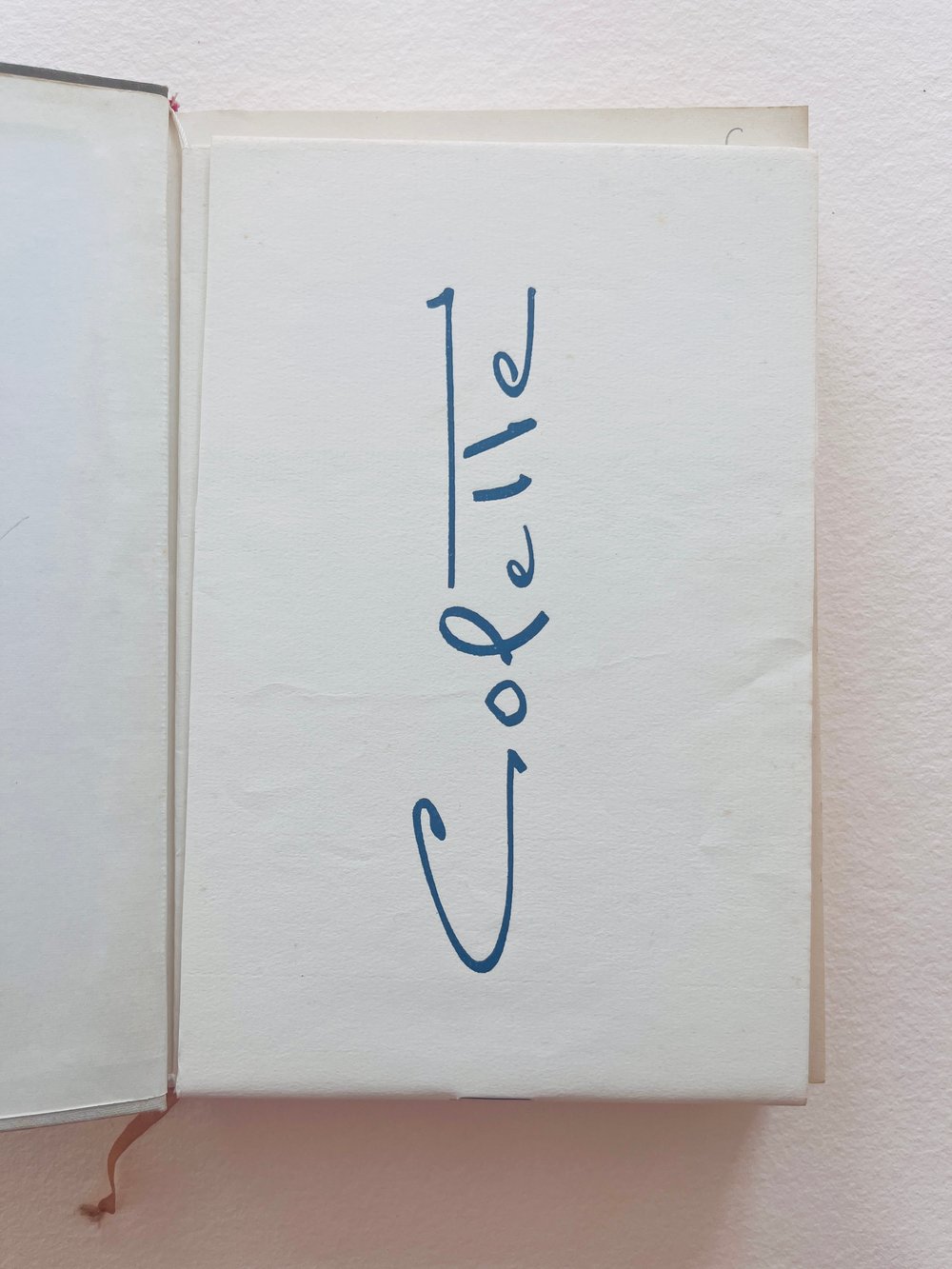 Image of BOOK_SIDONIE