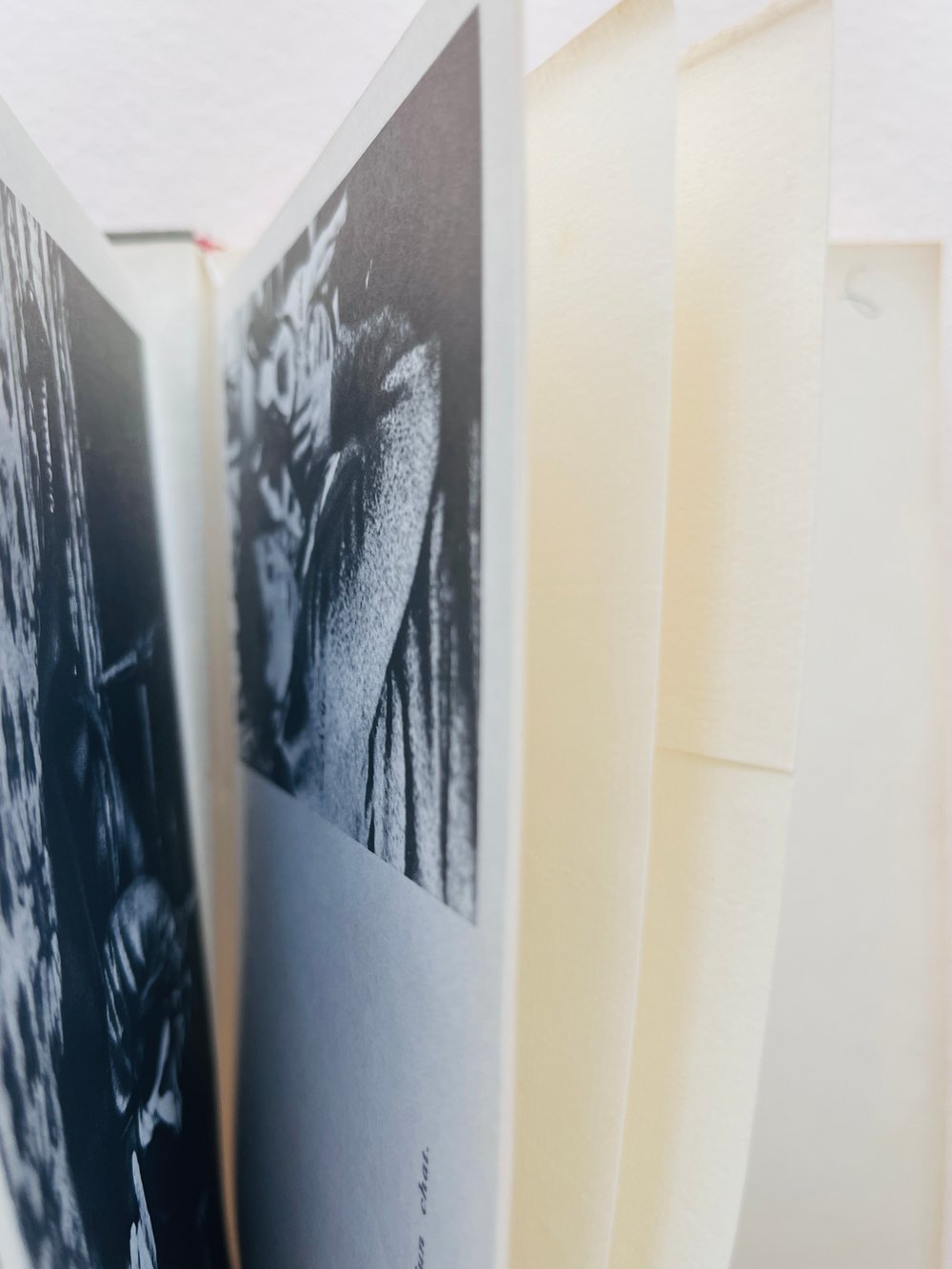 Image of BOOK_SIDONIE