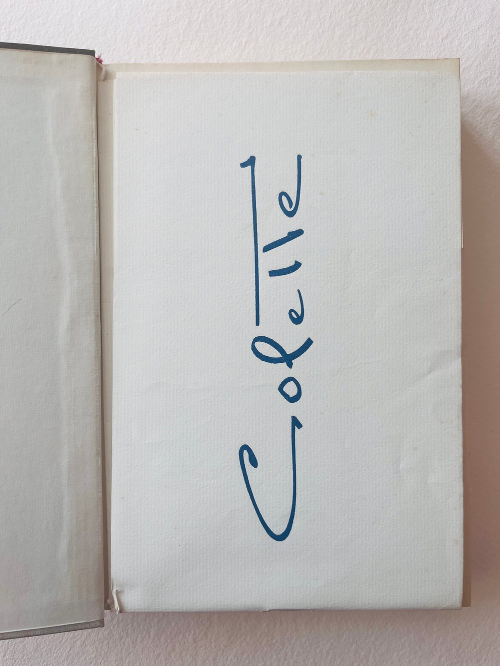 Image of BOOK_SIDONIE