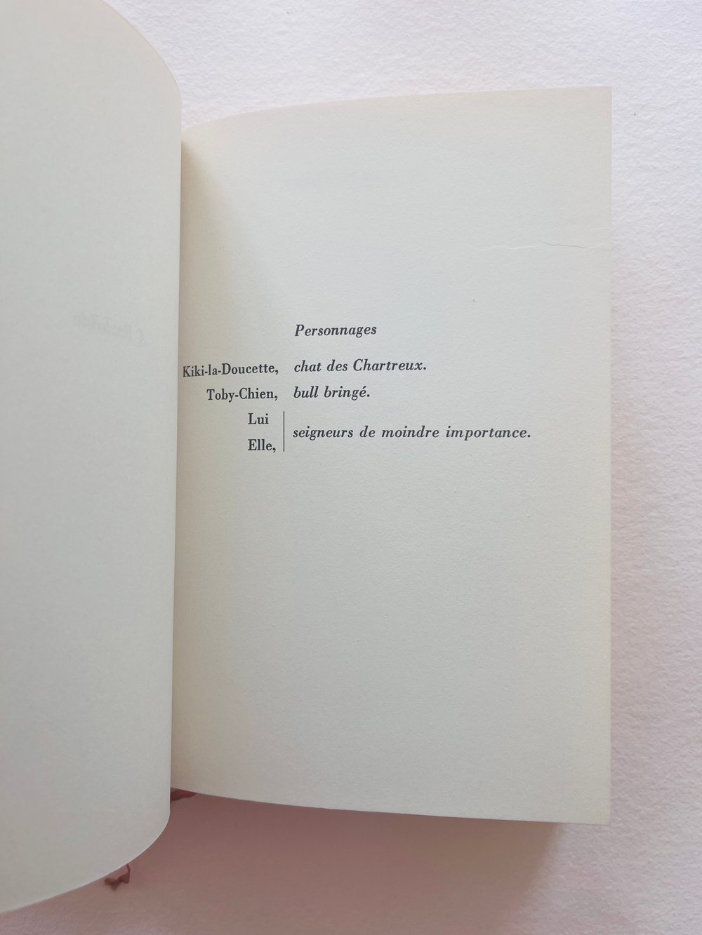 Image of BOOK_SIDONIE