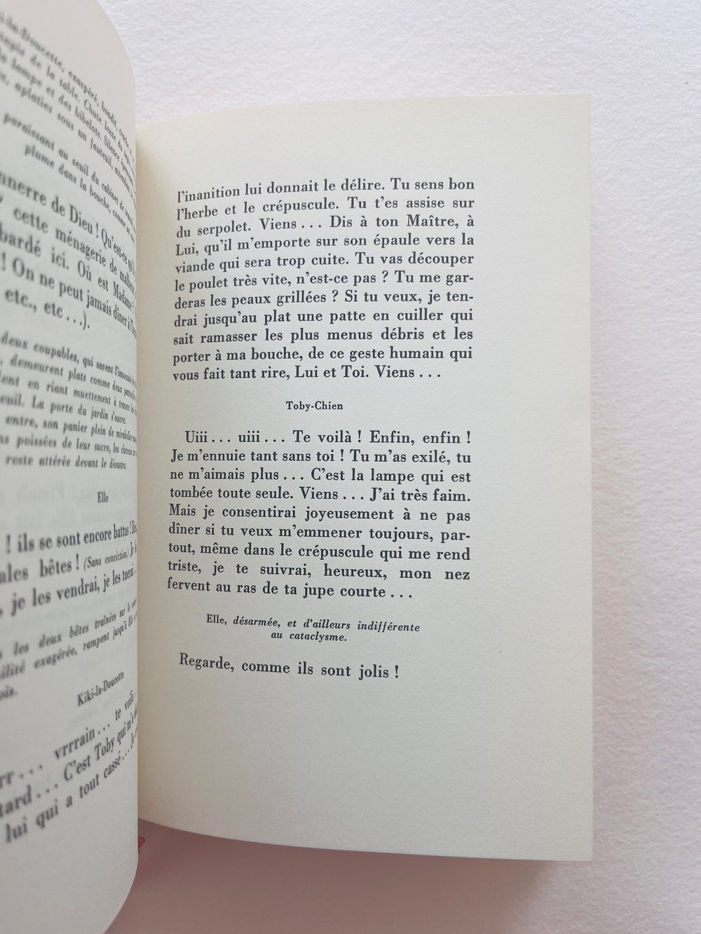 Image of BOOK_SIDONIE